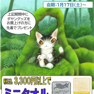 三省堂書店 海老名店（神奈川県）／「猫のダヤンフェア」開催の